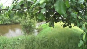 Рыбалка спиннингом на реке Сивинь, рыбалка 2020