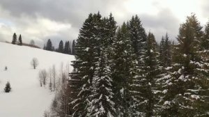 Деревня Вогулка Шалинский район