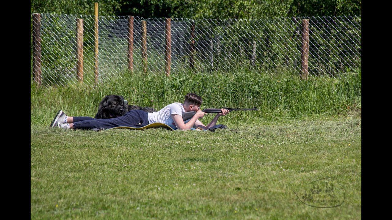 25.06.2022 г. соревнования "Военизированная полоса препятствий"/ кавказская овчарка Владыка