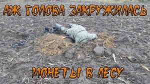 Аж голова закружилась. Находки в лесу.