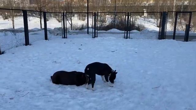 Утренний челлендж, ответ моему другу Степану с канала DIAMOND SOCHI, на его видео о море и грусти!