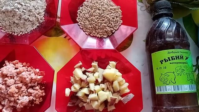 Чем я кормлю кур зимой.