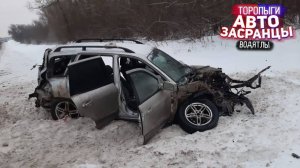 Январьнутые Торопыги! Спасение Лошадей