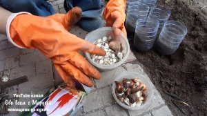 ПОСАДКА ТЮЛЬПАНОВ ОСЕНЬЮ В ПЛАСТИКОВЫЕ БУТЫЛКИ