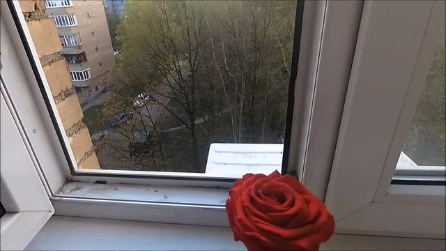 Вечная роза 3 месяца спустя смотреть онлайн