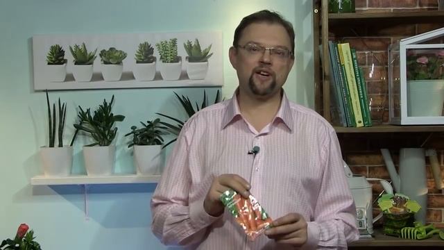 МОРКОВЬ от А до Я. Дачные сезоны с Мариной Рыкалиной 28.11.18.