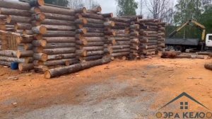 ЭРА КЕЛО. ДОМА БАНИ ИЗ ДЕРЕВА КЕЛО