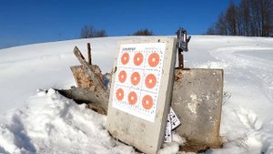 Winchester Wildcat 22LR, обзор.