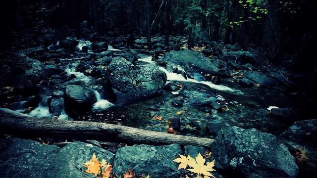 Созерцание природы. Смотреть перед сном смотреть онлайн