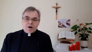 10. Небо и земля. Человек. Размышления о Катехизисе Католической Церкви (325-384)