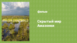 Скрытый мир Амазонки (документальный фильм, 2016)
