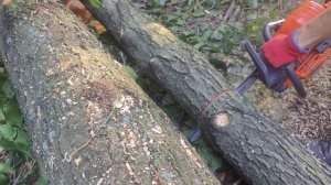 Husqvarna 545 Mark II In action ???