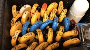 Обзор зимнего рыболовного ящика Pelican Ice Box Sport