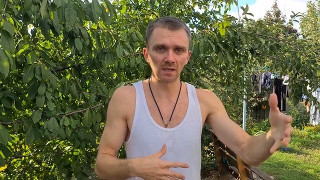 Как похудеть без тренировок и диет? смотреть онлайн