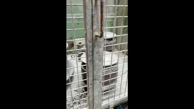 upgrade 4 block drawing line with new electric at customer factory смотреть онлайн