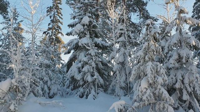 Чудесный зимний день смотреть онлайн
