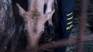 Счастливые семьи. Алексей и Ирина Грудцины.mp4