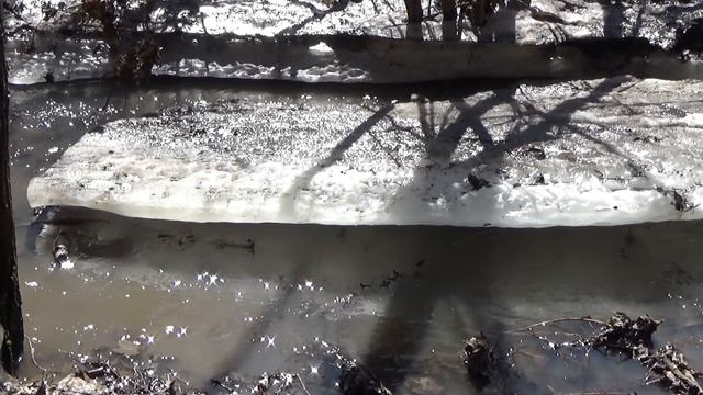 Журавль, подснежник и весенние ручьи смотреть онлайн