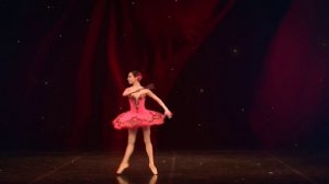 YOUNG RUSSIAN BALLET. GALA CONCERT 2013.