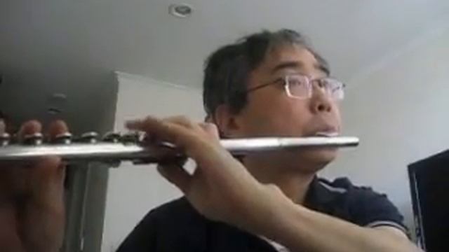 찬송가 메들리 Hymns Medley - 340 342 and 350 장 - Pearl Nickel Flute смотреть онлайн