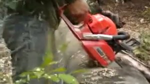 Бензопила solo by AL-KO 652