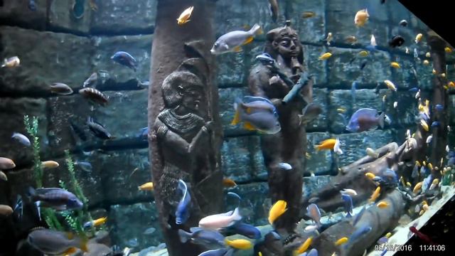 Океанариум Аквариум Анталия Турция Antalya Aquarium смотреть онлайн