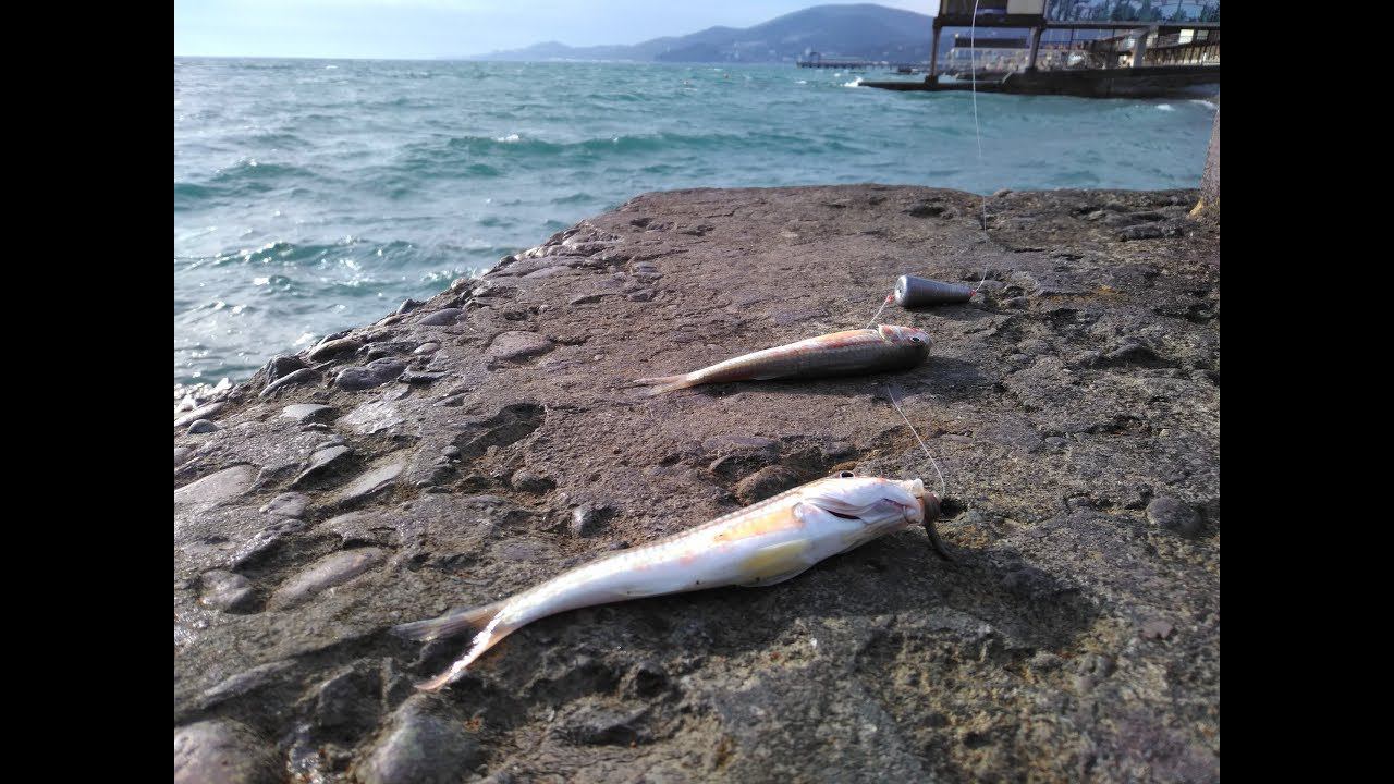 Ловля барабульки в черном море с пирса.