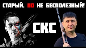 ОП СКС, культовый карабин. Вечный, надежный, любимый!