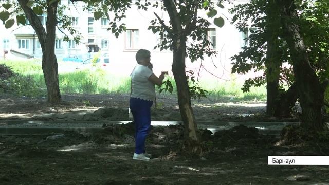 «Деревья посреди дорожки»: барнаульцы возмущены ходом благоустройства сквера в посёлке Южный смотреть онлайн