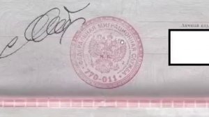 Тайны пасПОРТа РФ  Чего не знают граждане РФ