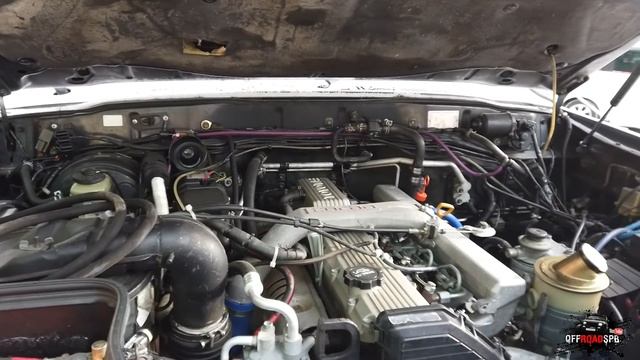 Хабаровск, краткий обзор на дальневосточную дичь) смотреть онлайн