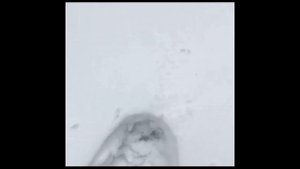 Снегоступы GV. Хождение по глубокому снегу. Особенности креплений.