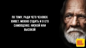 Мудрые цитаты