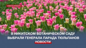 В Никитском ботаническом саду выбрали Генерала парада тюльпанов