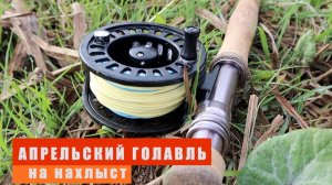 Весенний голавль. нахлыст