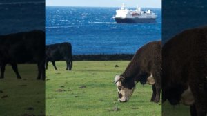 ТРИСТАН-ДА-КУНЬЯ - самый удаленный населенный остров