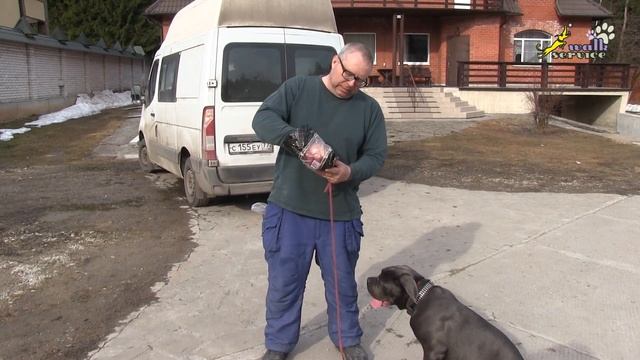 Снаряжение для дрессировки собак, пакет для корма, быстро достать корм одной рукой смотреть онлайн