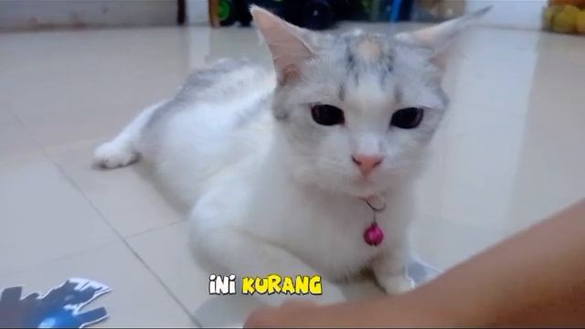 MOLI LIKE SKIBIDI TOILET GMAN TITAN SPEAKERMAN TITAN TV WOMEN TITAN CAMERAMAN TITAN TV MAN UPGRADED смотреть онлайн