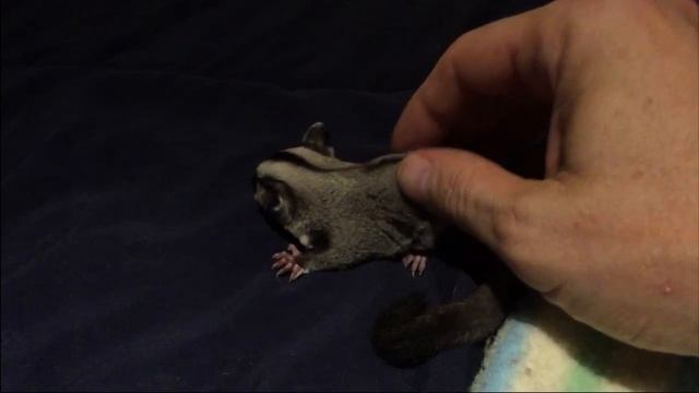 Nadya смотреть онлайн