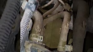 Ford Mondeo 5.Проверка VIN номера кузова и номера двигателя.