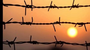 Бежит шоссе (Фергана)