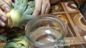 Ананас.Как Правильно Посадить Ананас.Как Вырастить Ананас.