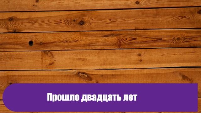 Мам, сколько ты там еще будешь скрипеть, мы спать хотим! Автор - Александр Райн смотреть онлайн