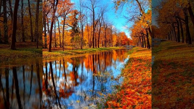 Осень золотая, автор _ исп. Г.Павлова, муз С. Чекалина, разрешено , видео Ariana Iskander смотреть онлайн