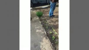 Замена стойки на тойота авенсис