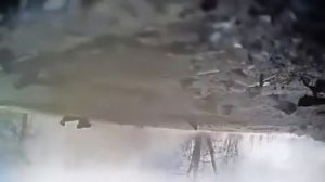 дтп трасологическая экспертиза дтп ДТП! Авария! Видеорегистратор