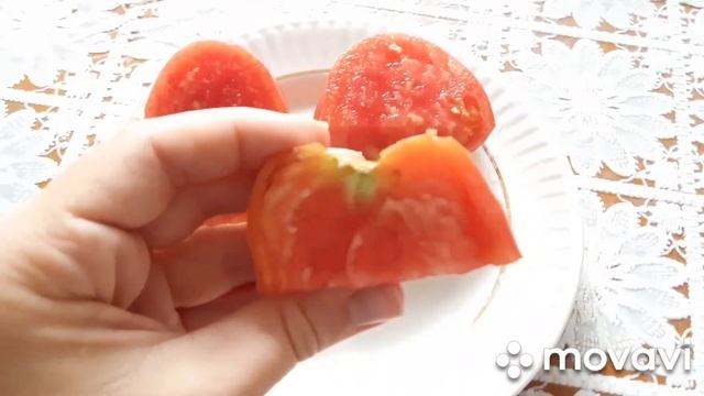 ОБЗОР СПЕЛЫХ ТОМАТОВ СЕЗОН 2020. ДЕГУСТАЦИЯ. ЗОЛОТЫЕ КУПОЛА. СЕВРЮГА. ВЕЧНЫЙ ЗОВ И ДРУГИЕ смотреть онлайн