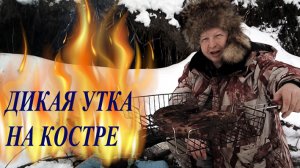 Дикая утка на костре.