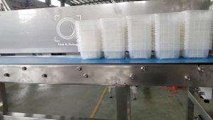 Автоматическая система подачи лотков на конвейер