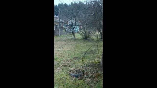 Продаж будинку під ремонт у Верховині. 105 кв.м. 5 соток землі смотреть онлайн